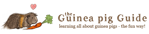 The Guinea Pig Guide - Comprehensive Guide to Guinea Pig Care Logo